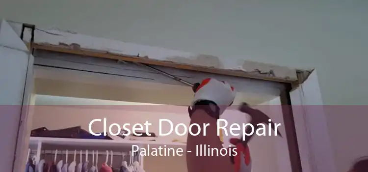 Closet Door Repair Palatine - Illinois
