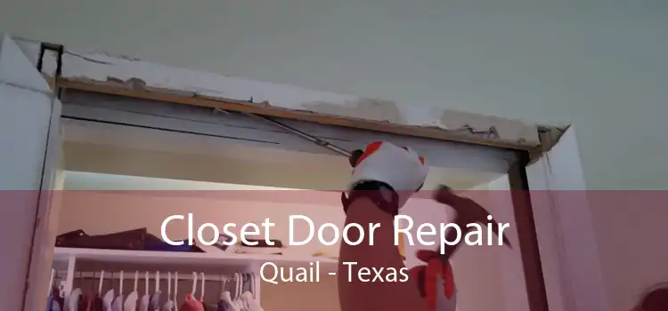 Closet Door Repair Quail - Texas