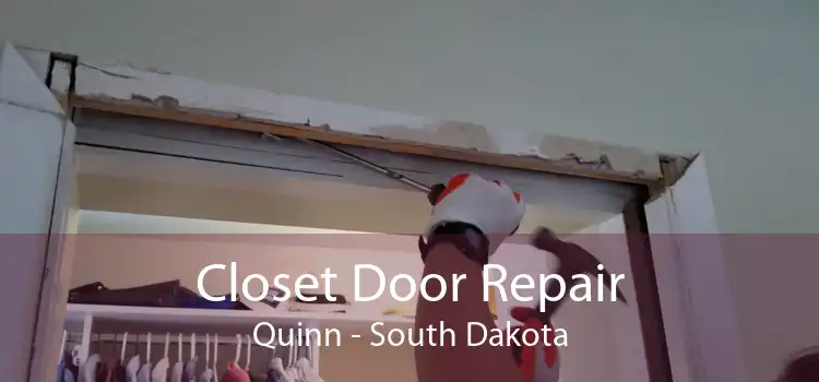 Closet Door Repair Quinn - South Dakota