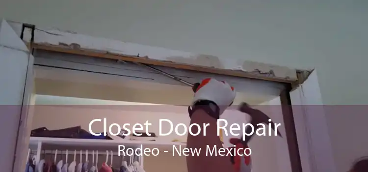 Closet Door Repair Rodeo - New Mexico