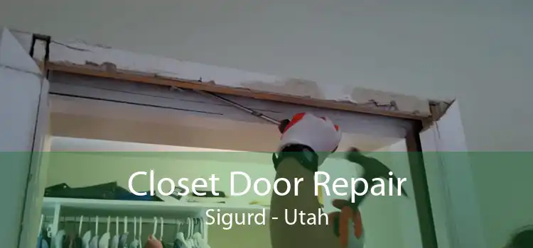 Closet Door Repair Sigurd - Utah