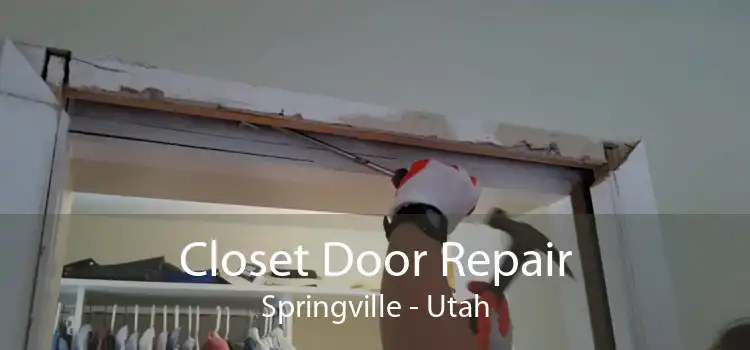 Closet Door Repair Springville - Utah