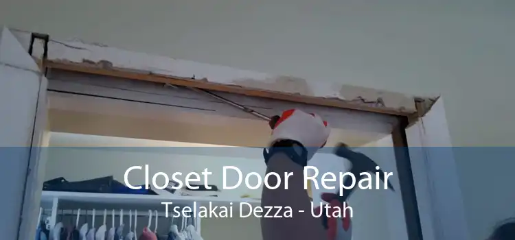 Closet Door Repair Tselakai Dezza - Utah