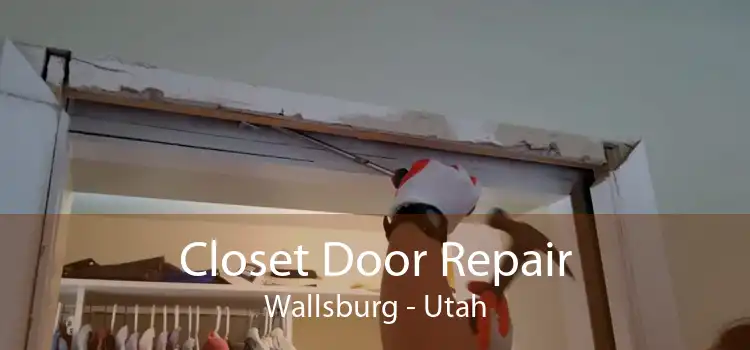 Closet Door Repair Wallsburg - Utah