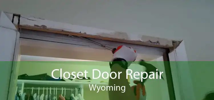 Closet Door Repair Wyoming