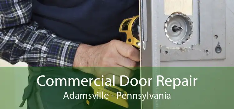 Commercial Door Repair Adamsville - Pennsylvania
