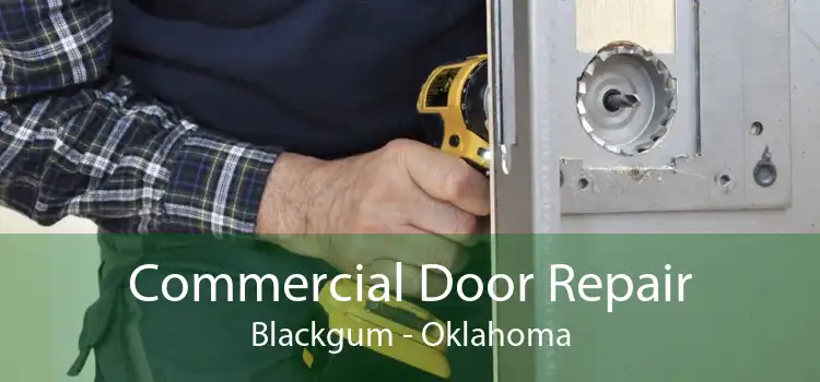Commercial Door Repair Blackgum - Oklahoma