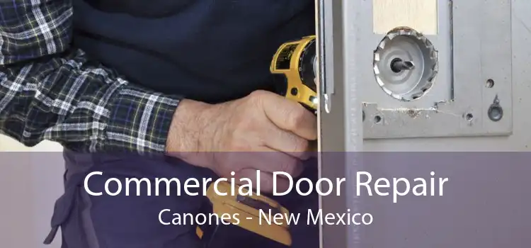 Commercial Door Repair Canones - New Mexico