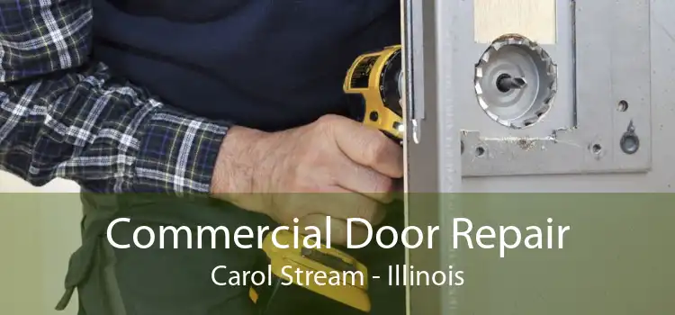 Commercial Door Repair Carol Stream - Illinois