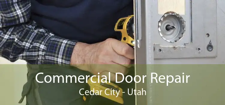 Commercial Door Repair Cedar City - Utah