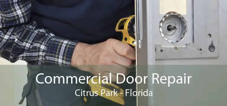 Commercial Door Repair Citrus Park - Florida