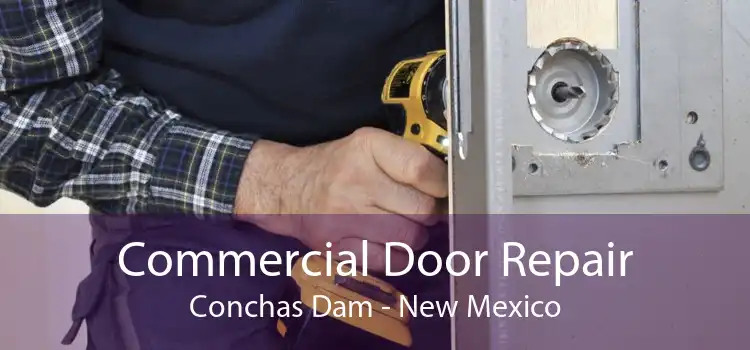Commercial Door Repair Conchas Dam - New Mexico