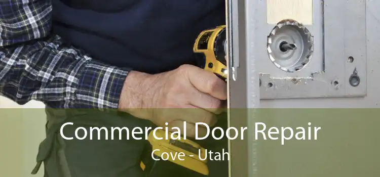 Commercial Door Repair Cove - Utah