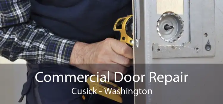 Commercial Door Repair Cusick - Washington