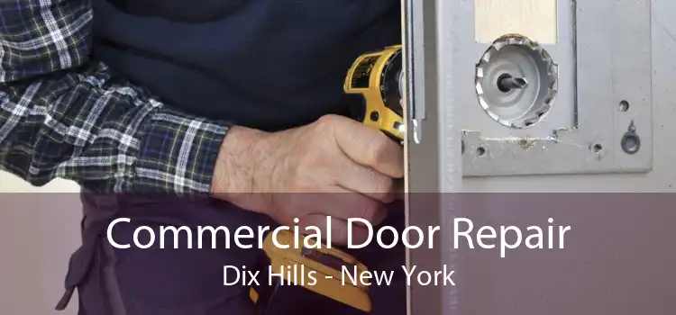 Commercial Door Repair Dix Hills - New York