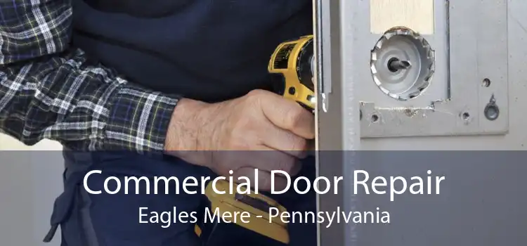 Commercial Door Repair Eagles Mere - Pennsylvania
