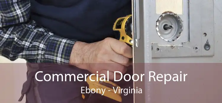 Commercial Door Repair Ebony - Virginia
