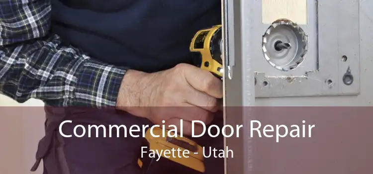 Commercial Door Repair Fayette - Utah