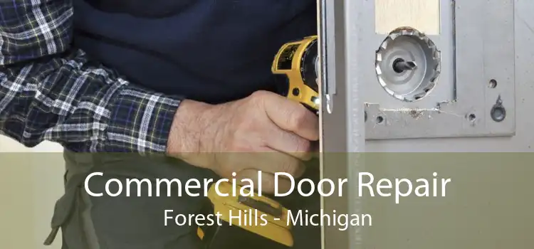 Commercial Door Repair Forest Hills - Michigan