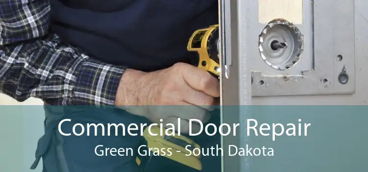 Commercial Door Repair Green Grass - South Dakota