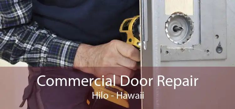 Commercial Door Repair Hilo - Hawaii