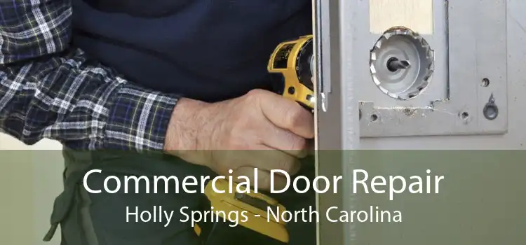 Commercial Door Repair Holly Springs - North Carolina