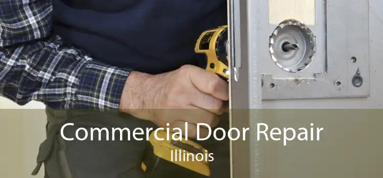 Commercial Door Repair Illinois