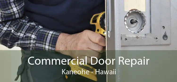 Commercial Door Repair Kaneohe - Hawaii