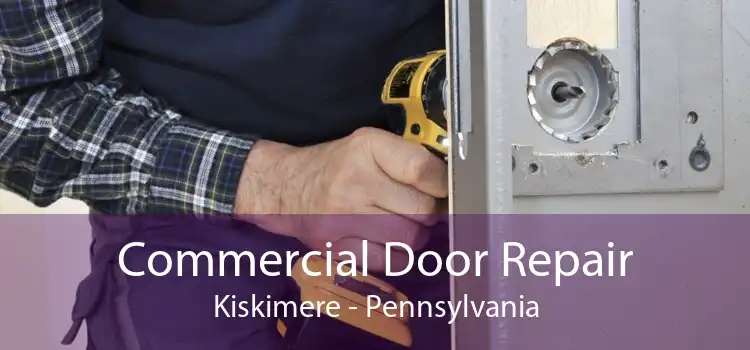 Commercial Door Repair Kiskimere - Pennsylvania