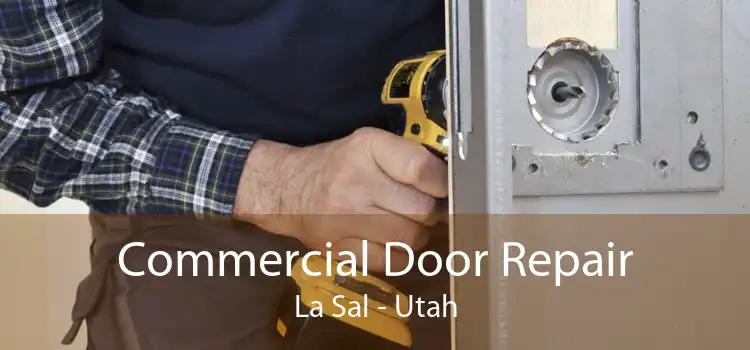 Commercial Door Repair La Sal - Utah