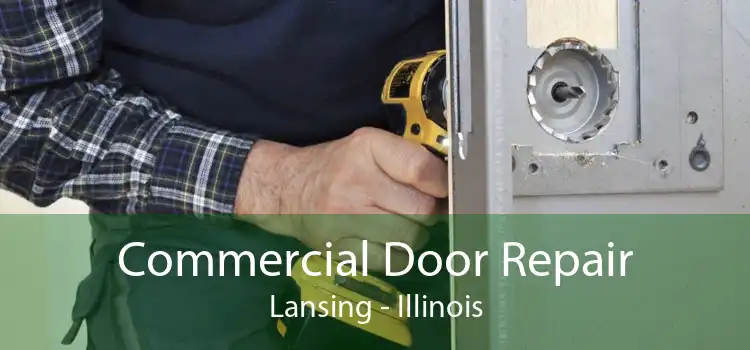 Commercial Door Repair Lansing - Illinois