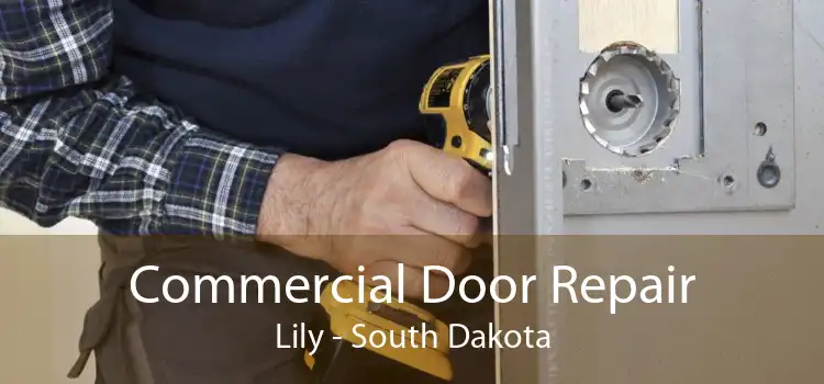 Commercial Door Repair Lily - South Dakota