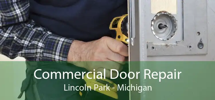 Commercial Door Repair Lincoln Park - Michigan