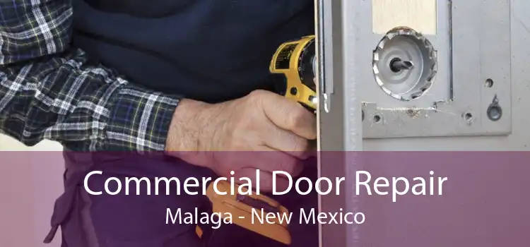 Commercial Door Repair Malaga - New Mexico