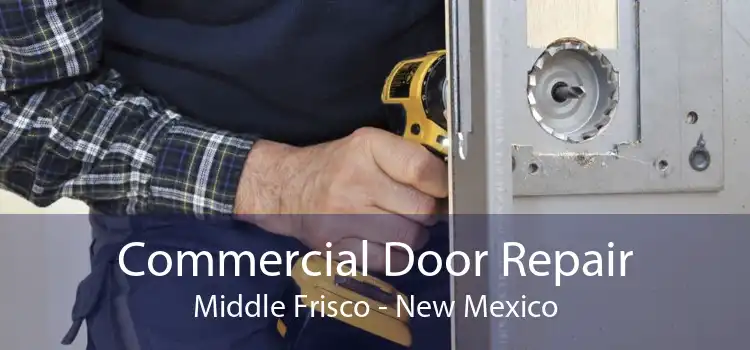 Commercial Door Repair Middle Frisco - New Mexico