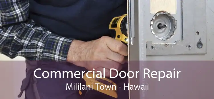 Commercial Door Repair Mililani Town - Hawaii