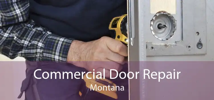 Commercial Door Repair Montana