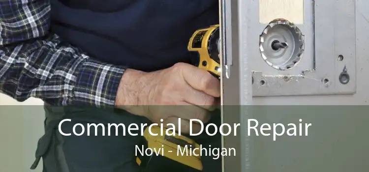 Commercial Door Repair Novi - Michigan