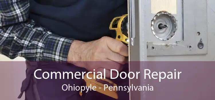 Commercial Door Repair Ohiopyle - Pennsylvania