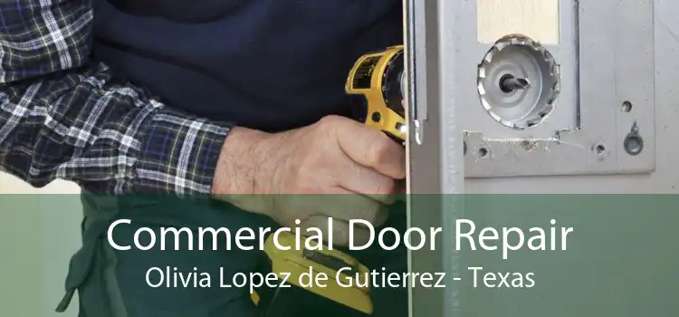 Commercial Door Repair Olivia Lopez de Gutierrez - Texas