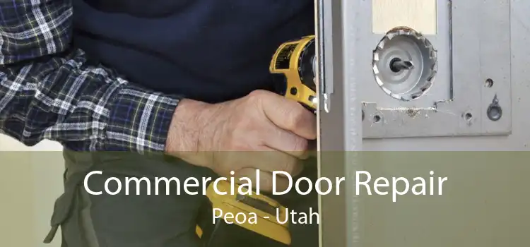 Commercial Door Repair Peoa - Utah