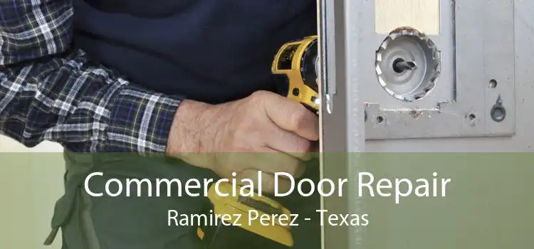 Commercial Door Repair Ramirez Perez - Texas