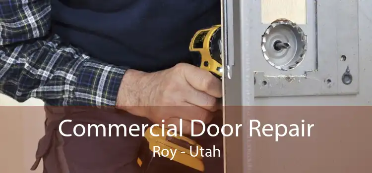 Commercial Door Repair Roy - Utah