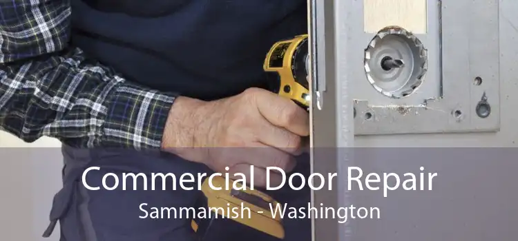 Commercial Door Repair Sammamish - Washington