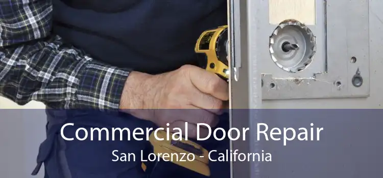 Commercial Door Repair San Lorenzo - California