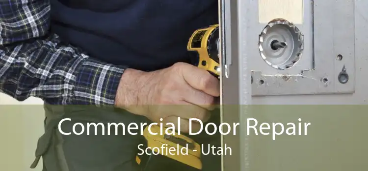 Commercial Door Repair Scofield - Utah