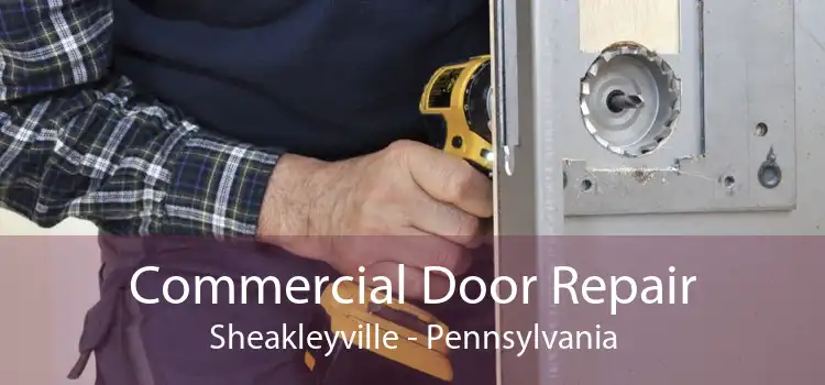 Commercial Door Repair Sheakleyville - Pennsylvania