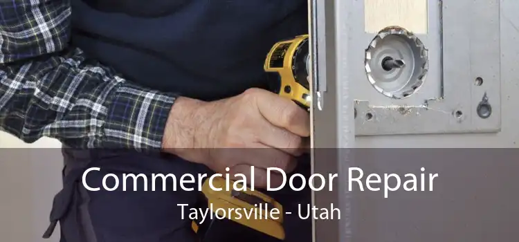 Commercial Door Repair Taylorsville - Utah