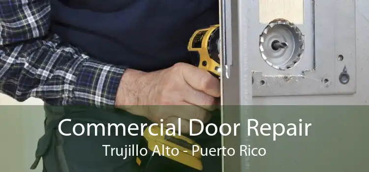 Commercial Door Repair Trujillo Alto - Puerto Rico