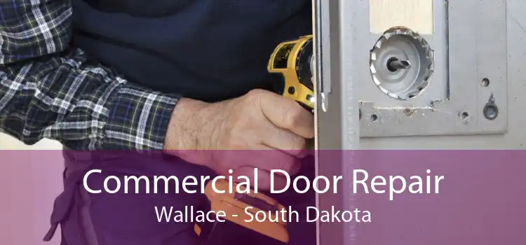Commercial Door Repair Wallace - South Dakota